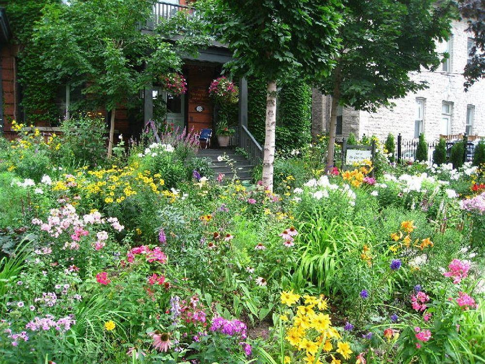 Bed & Breakfast King Edward 2*